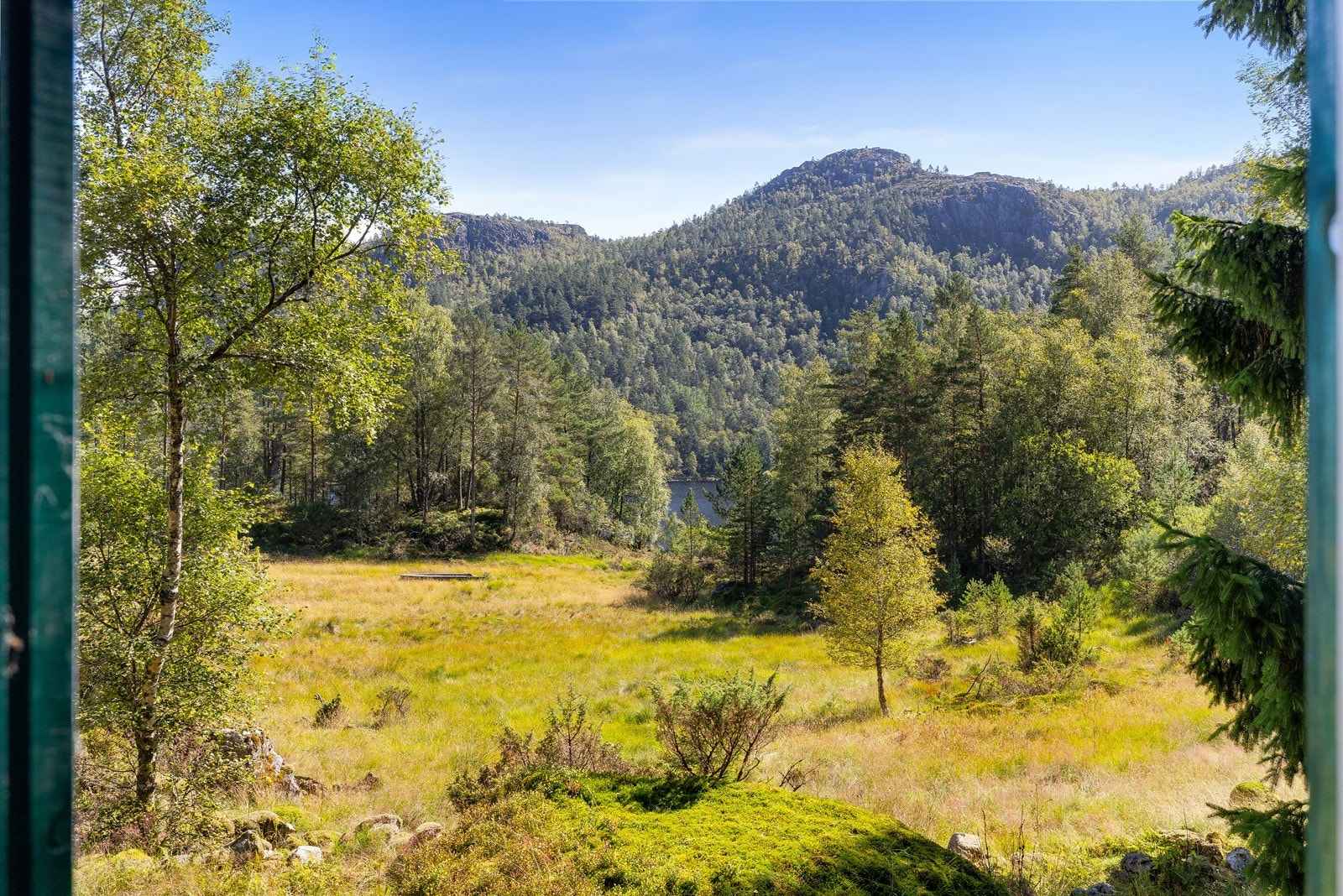 Utsikt fra stuevindu! Galleribilde