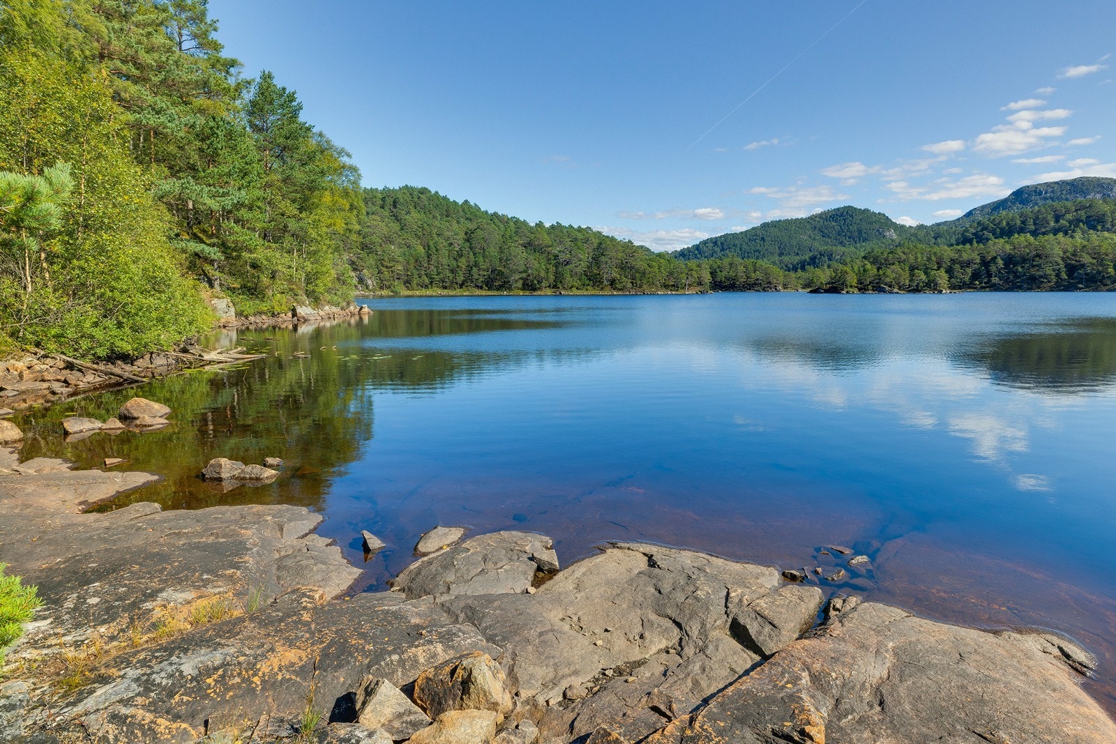 Her er det barnevennlige og fine forhold, med god boltreplass i nydelig natur. Galleribilde