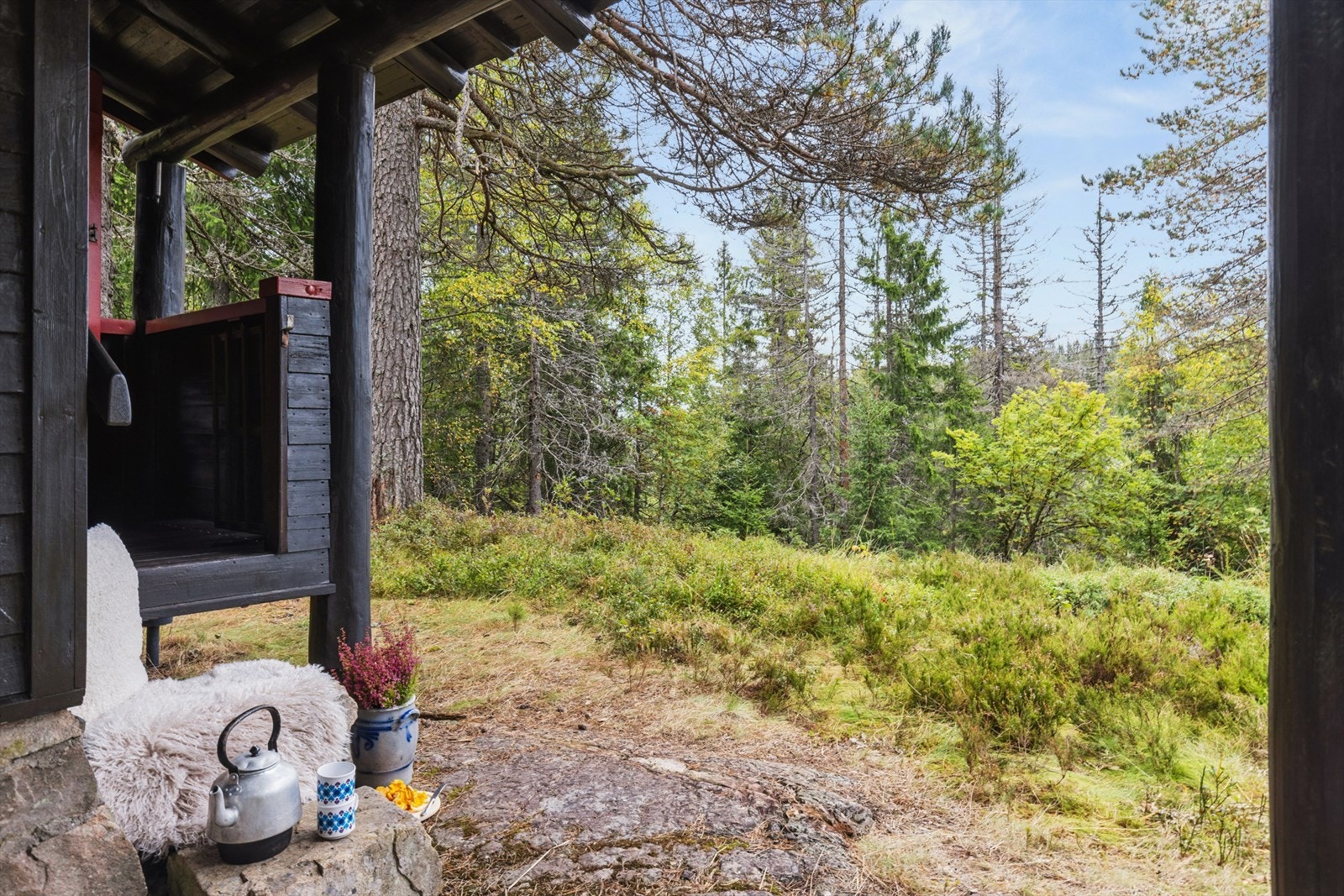 Her kan du nyte stillheten og skogens ro Galleribilde