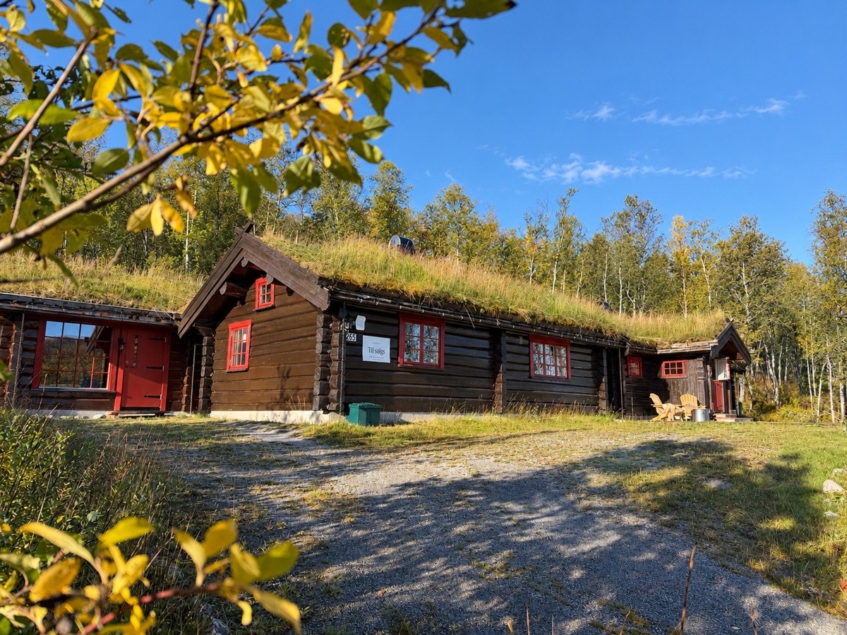 hovedbilde