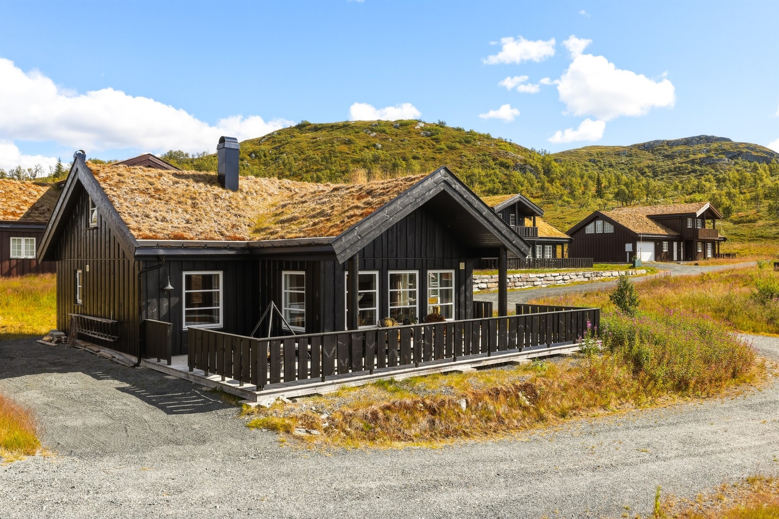 Velkommen til visning! Galleribilde
