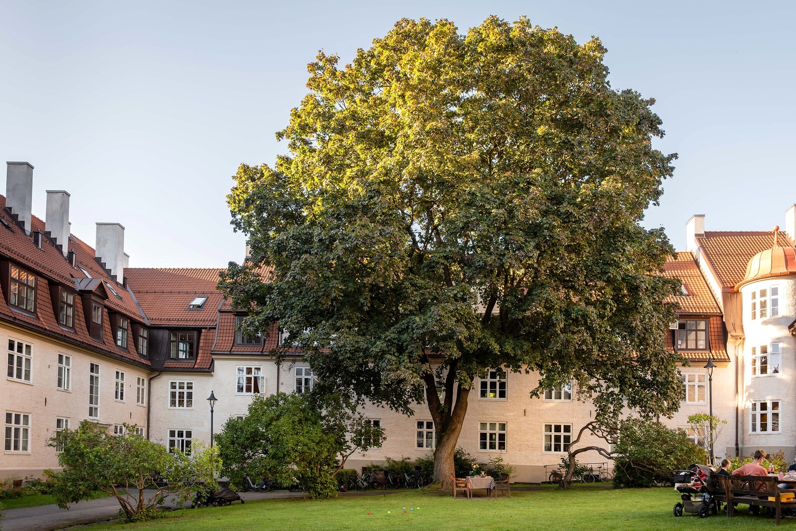 Det store treet ruver som et naturlig samlingspunkt i bakgården og gir gårdsrommet den frodige, etablerte karakteren Lindern hageby er kjent for. Galleribilde