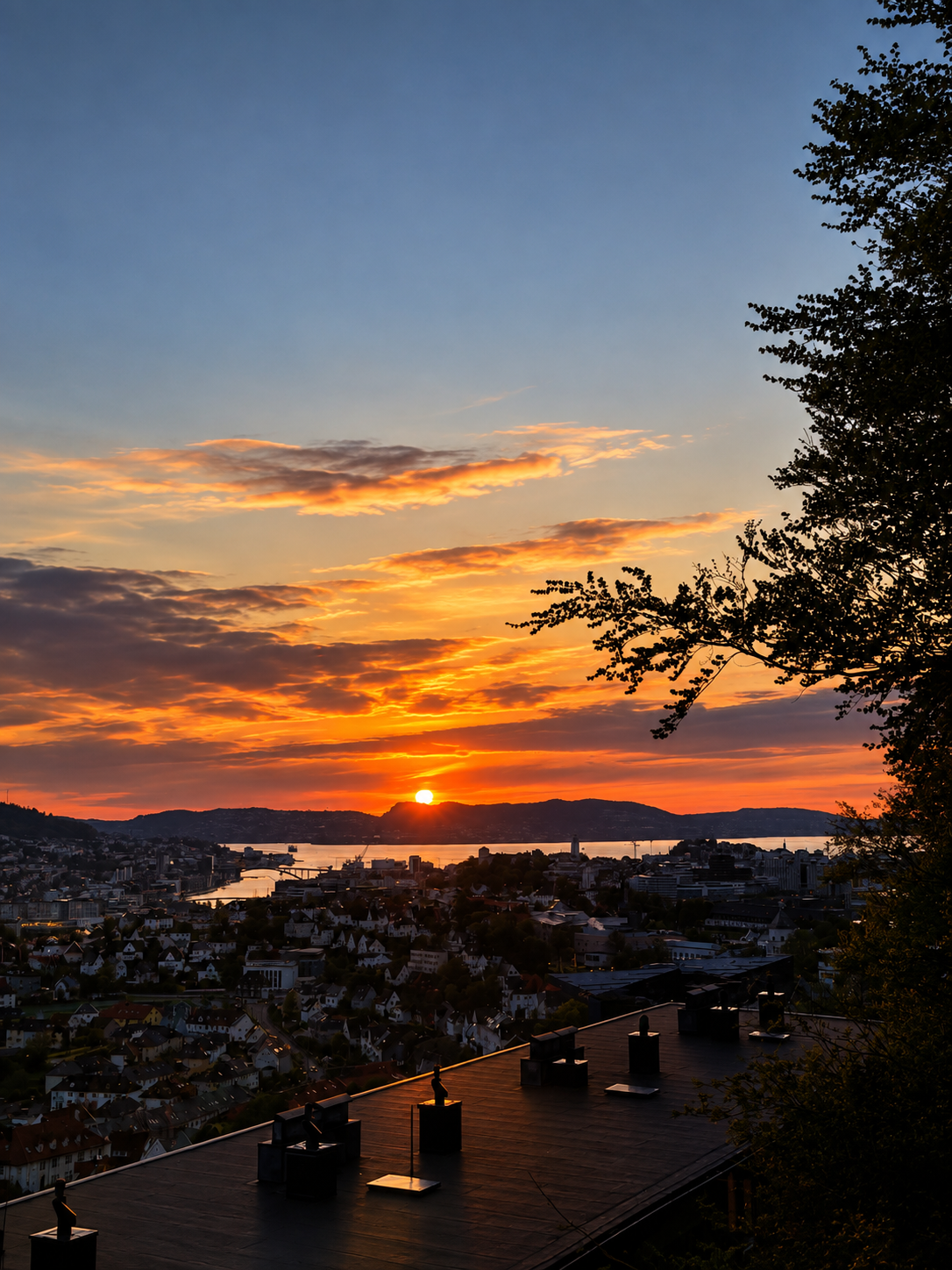 Ikke feil å kunne se på vakre solnedganger mens du kokkelerer de herligste retter! Galleribilde