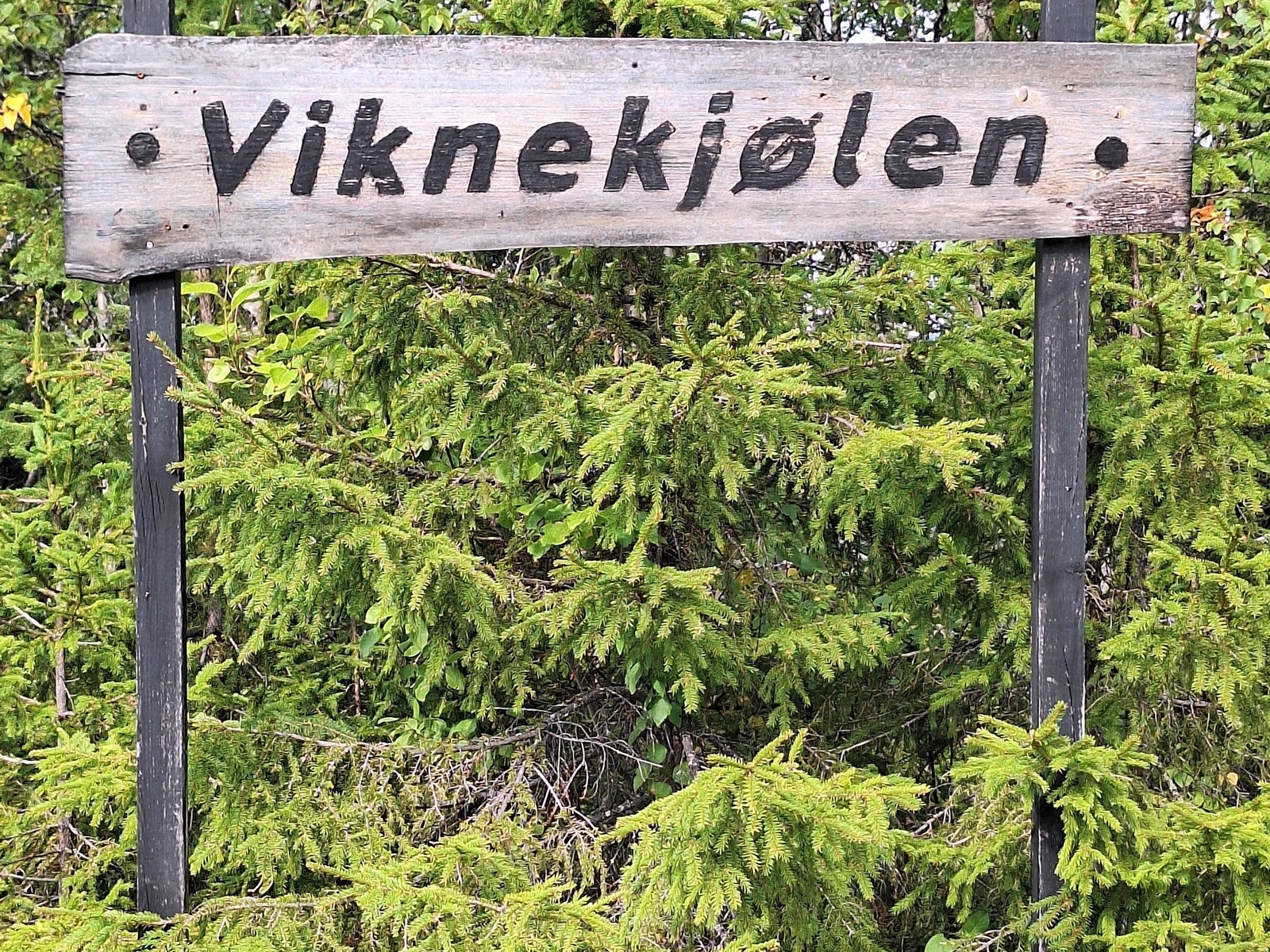 Viknekjølen - et engasjert og koselig hyttesamfunn på 19 hytter Galleribilde