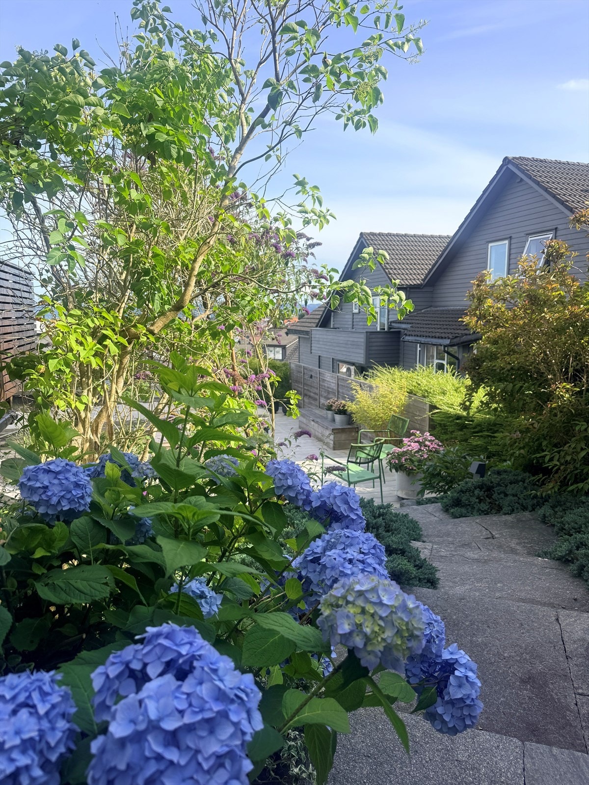 - Selgers bilder av hagen - Galleribilde