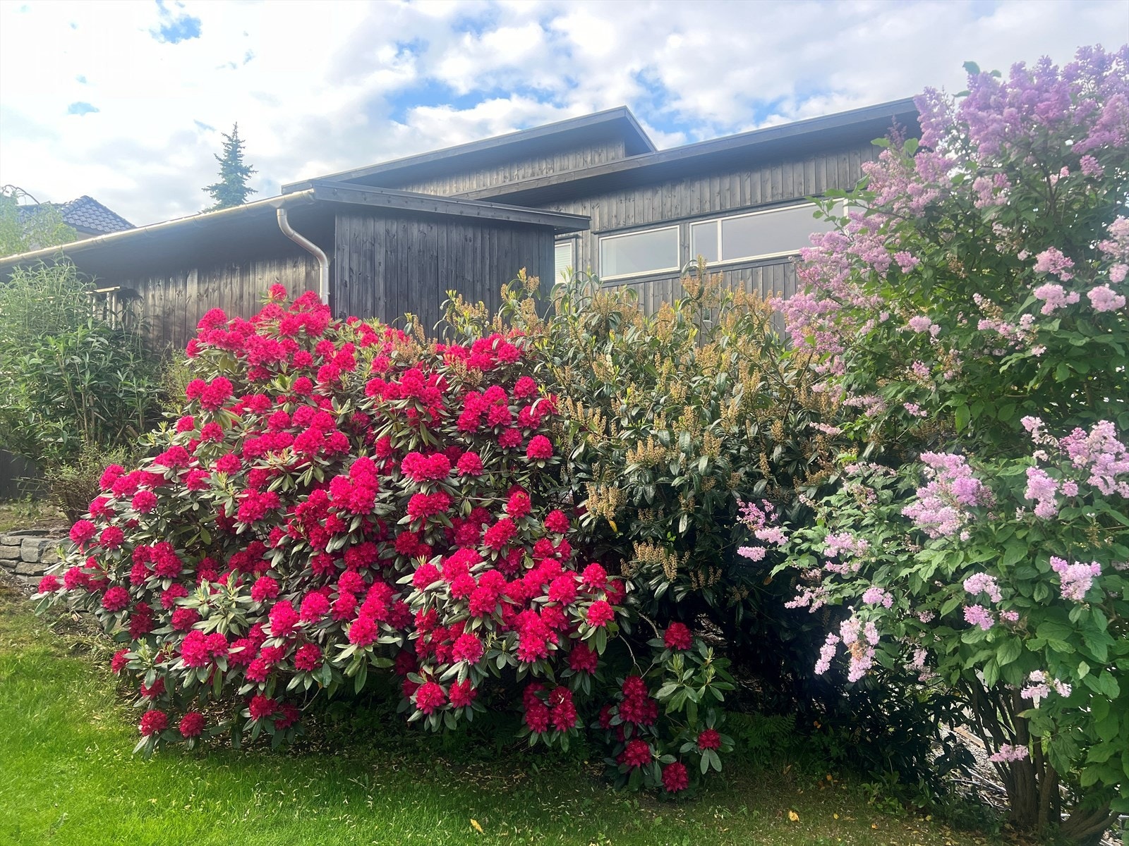 - Selgers bilder av hagen - Galleribilde