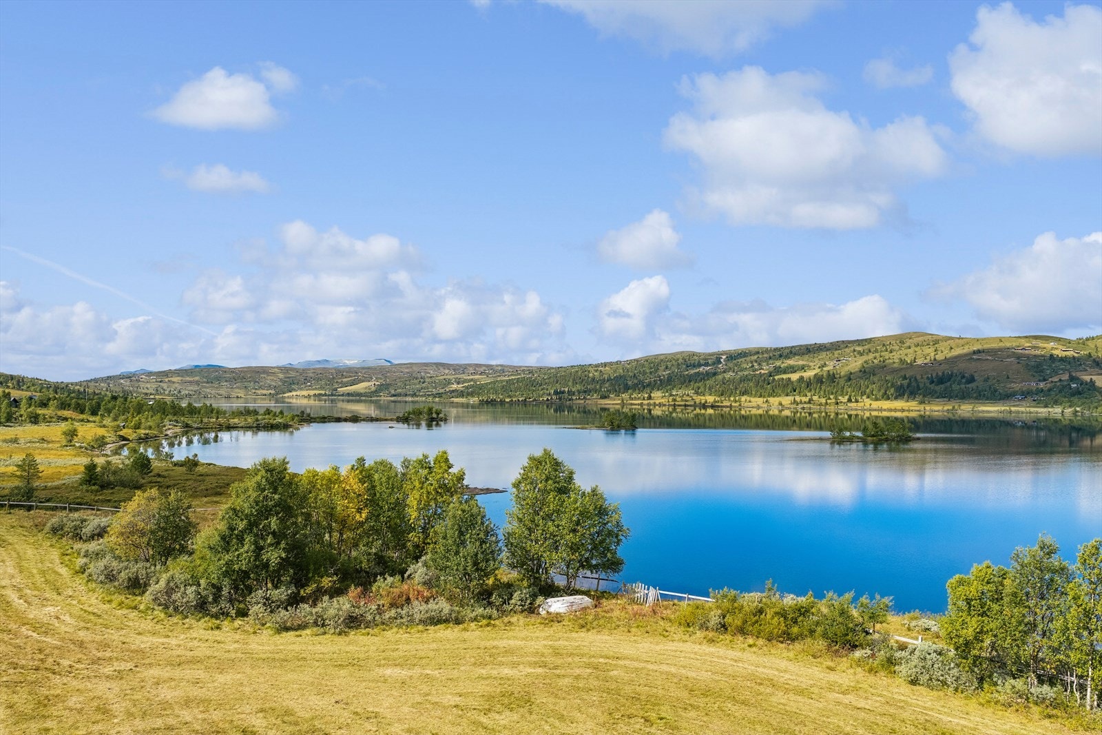 Hvem kunne ikke tenke seg å flytte på stølen og være der hele sommeren, slik det var vanlig før? Galleribilde