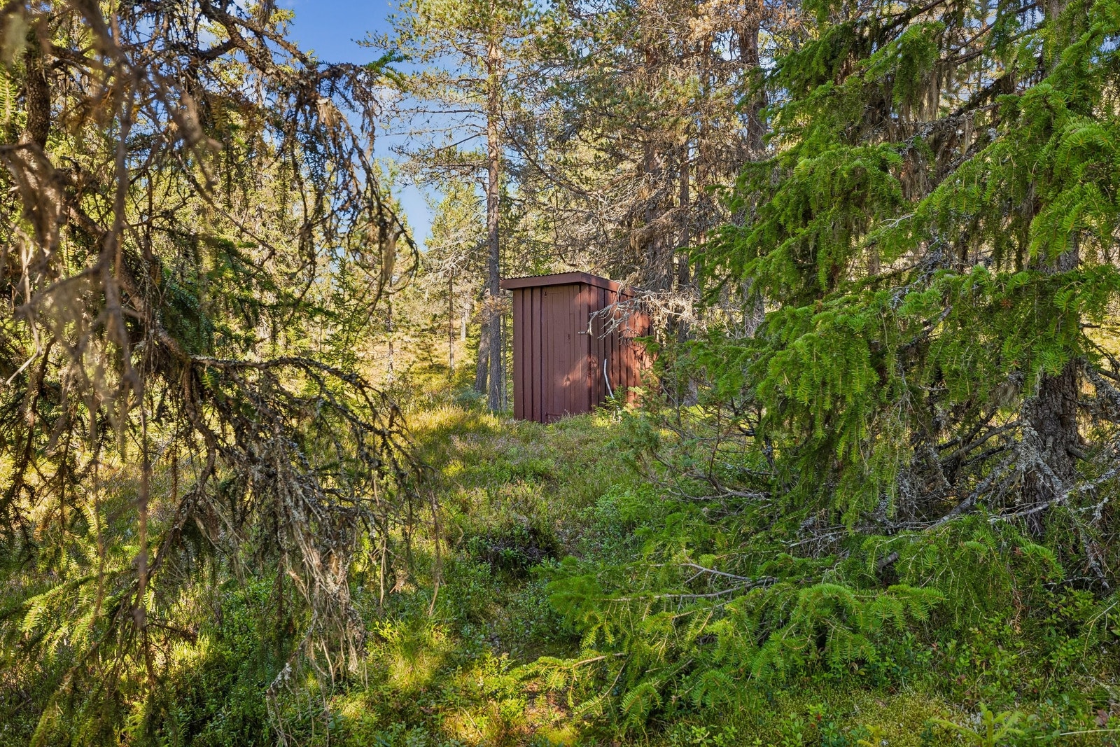 Den gamle utedoen på baksida av hytta. Her kan det skarpe øye så vidt skimte den eneste hyttenaboen. Galleribilde