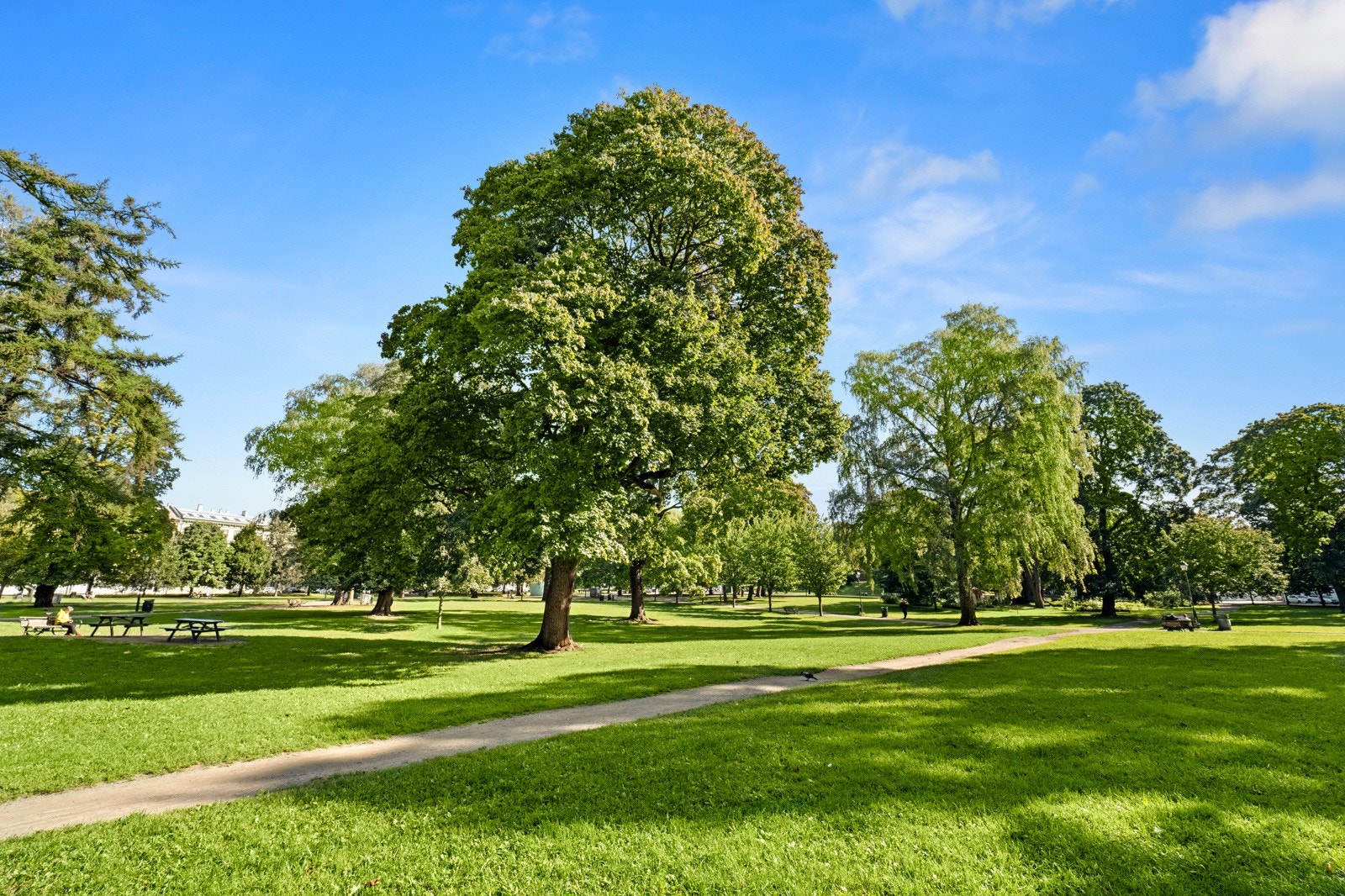 Sofienbergparken ligger rett over gaten. Her er det populært å gå turer og nyte parklivet. Galleribilde