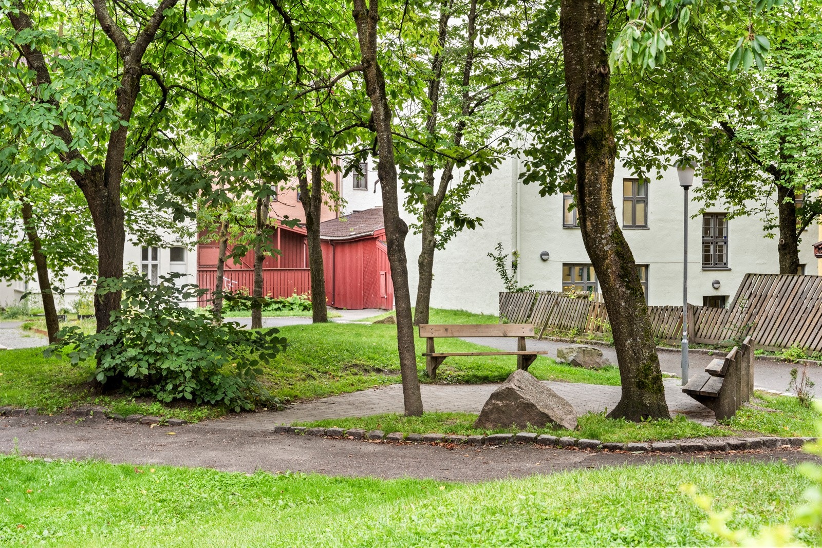 Flotte grøntområdet i bakgård. Galleribilde