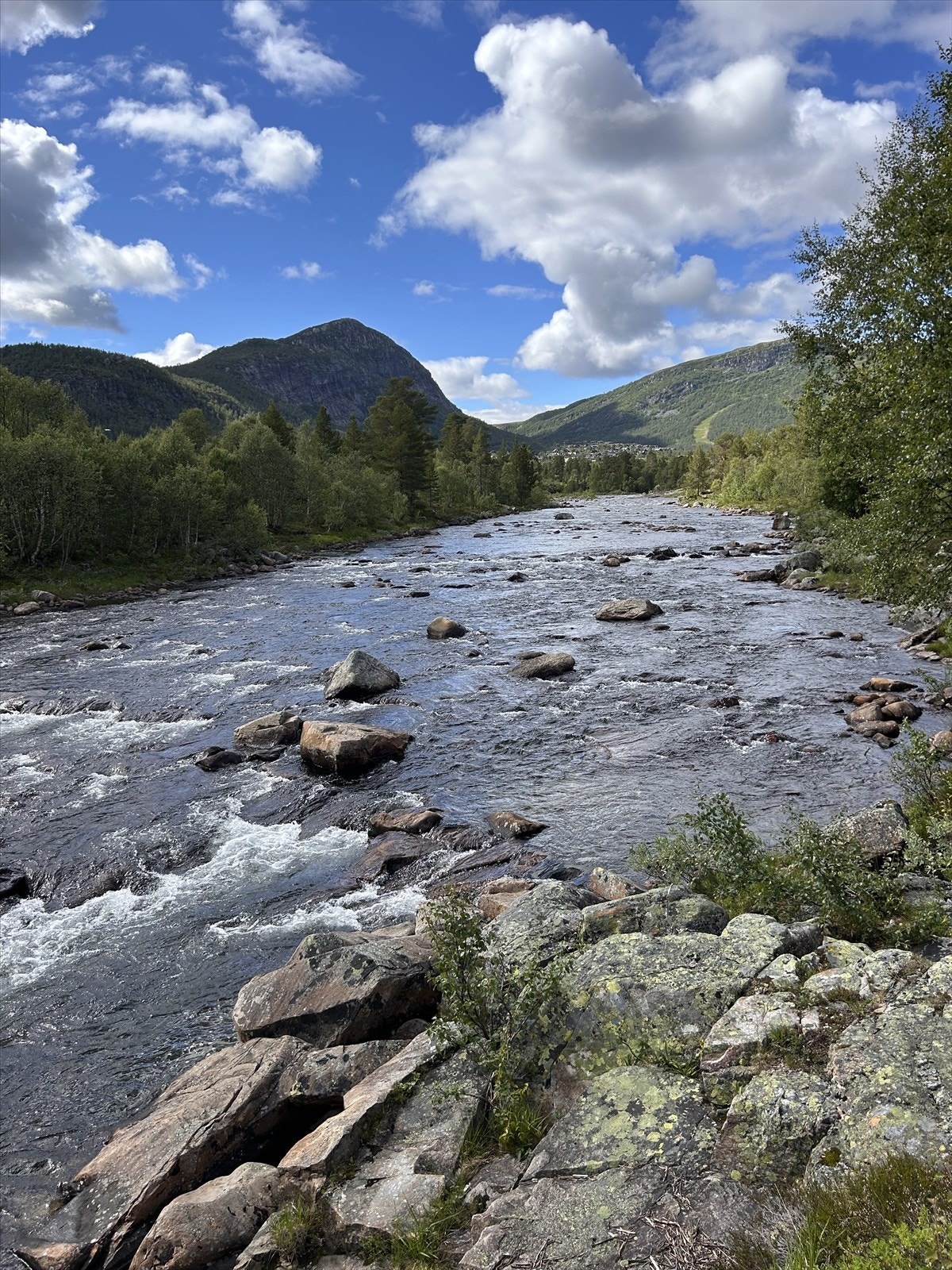 Otra med Hovdenuten ruvende i bakgrunnen. Galleribilde