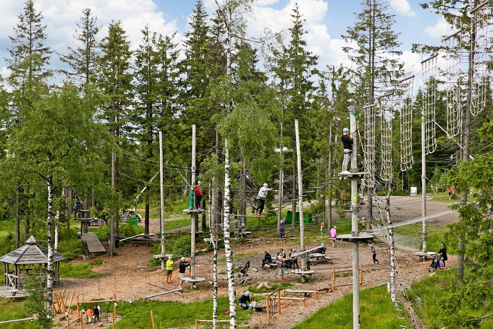 Tryvann Klatrepark Galleribilde