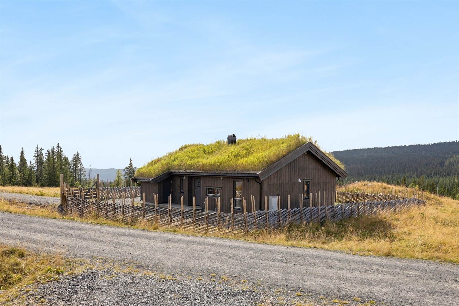 Velkommen på visning! Galleribilde