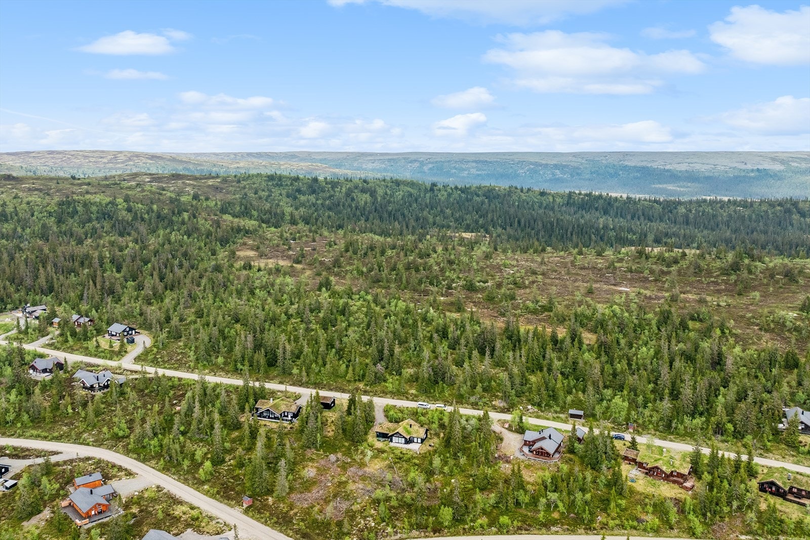 Flott turterreng med umiddelbar nærhet til naturen og preparerte skiløyper vinterstid. Galleribilde
