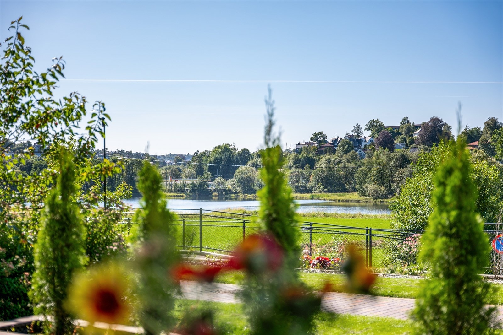 Her kan gode solforhold nytes i vakre omgivelser! Galleribilde
