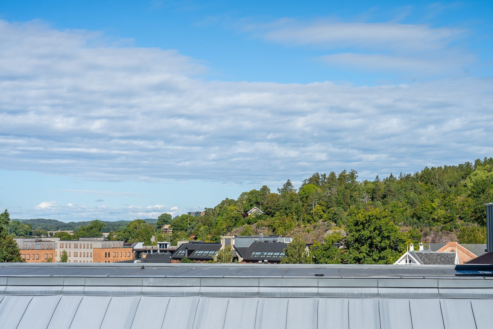 Utsikt mot de grønne åspartiene som omkranser området. Galleribilde