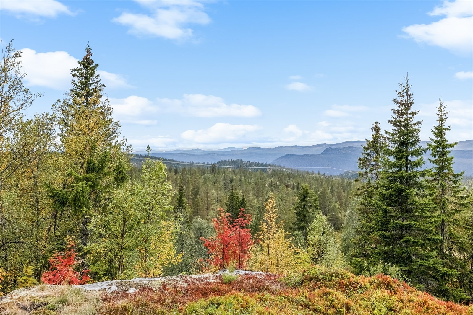 Upåklagelig utsikt over vidstrakte skogs- og fjellområder. Galleribilde