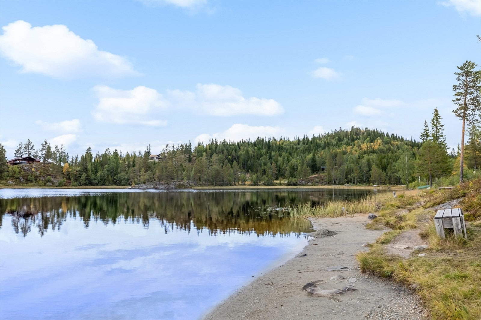 Medtjønn - Idyllisk vann i nærområdet med fine muligheter for bading og fiske. Galleribilde