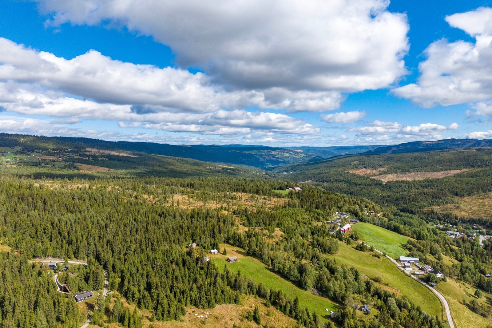Myking byr på en fin kombinasjon av skogsterreng, åpne fjellområder og tradisjonelt stølslandskap. Galleribilde