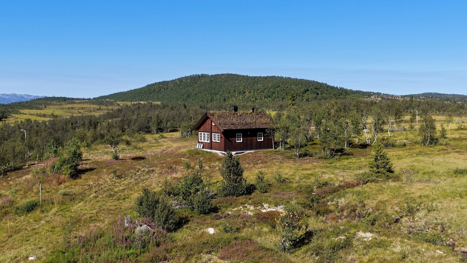 På 957 moh ligger en romslig fjelltomt på hele 1 451,8 m², omgitt av den karakteristiske vegetasjonen som hører høyfjellet til. Den flotteste utsikt og sol fra de første morgenstrålene til sene kveld. På sommeren har du sol frem til ca 2230. Galleribilde