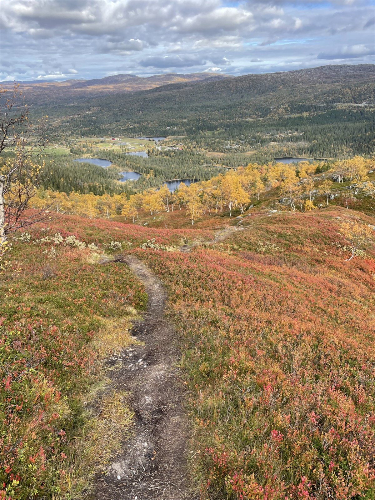 Selgers bilde - Fra Steinfjellet ned mot Teveltunet Galleribilde