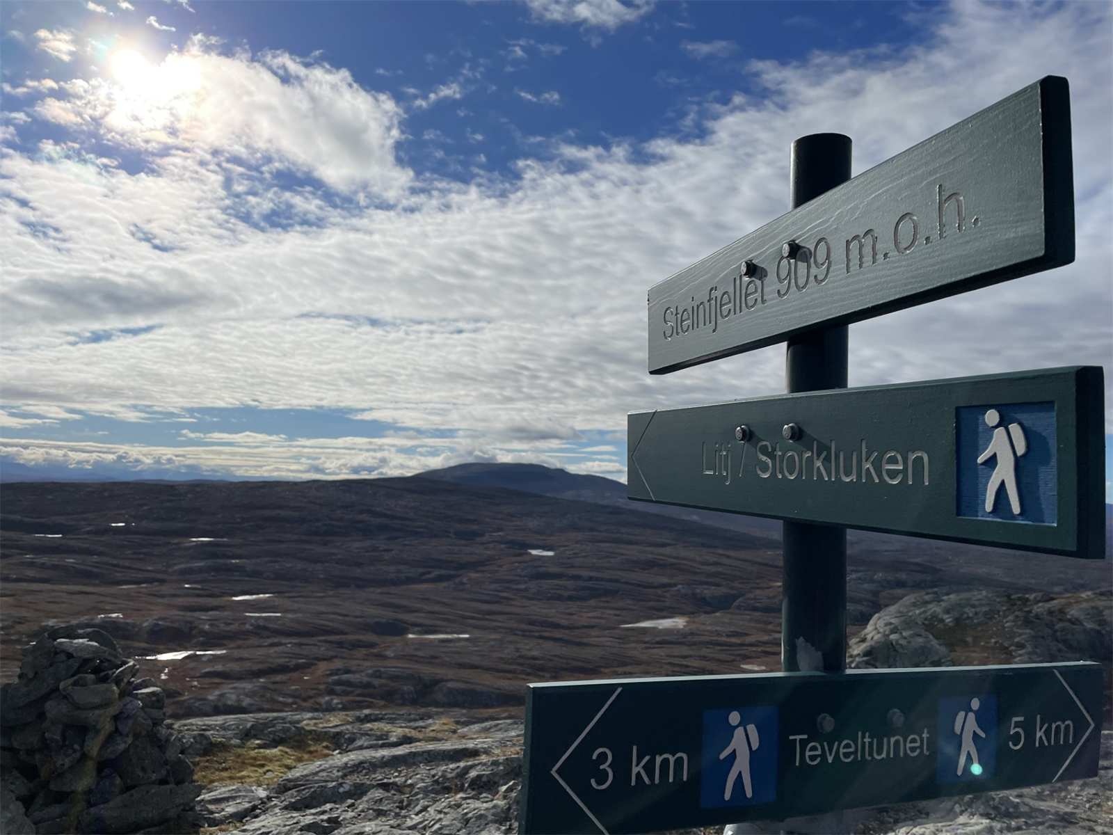 Selgers bilde - Flotte turstien opp til Steinfjellet på 909 m.o.h Galleribilde