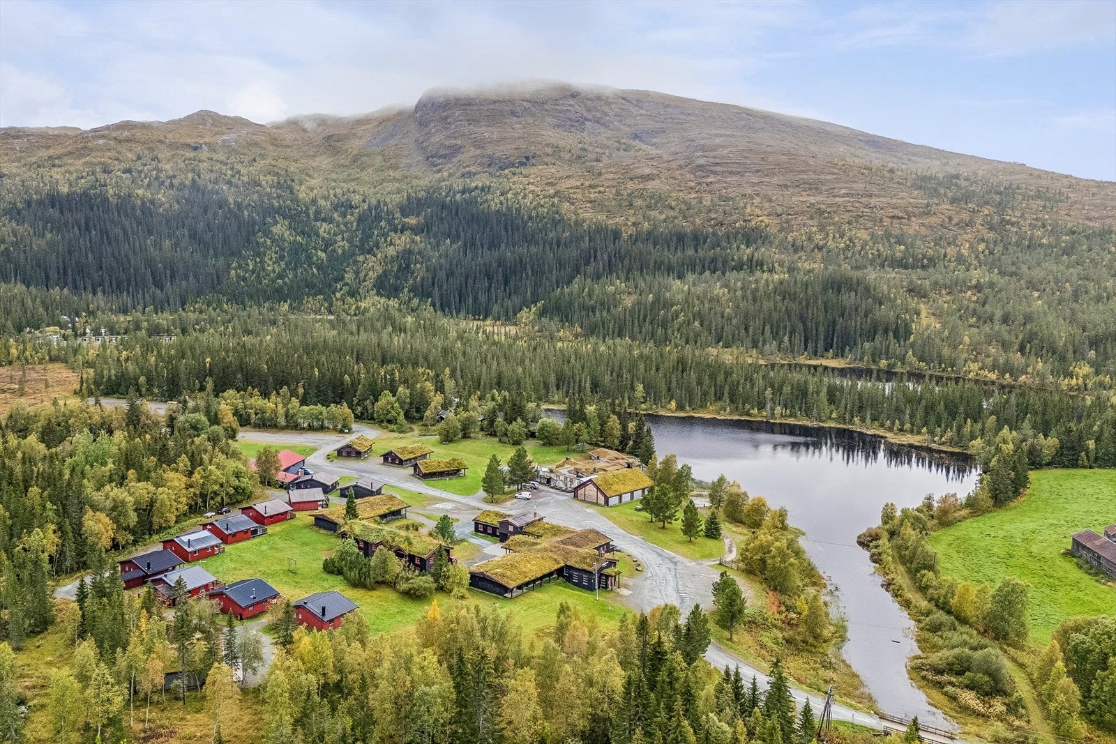 Meråker kan tilby fine toppturer, og familievennlige stier og bærterreng. Velkommen til trivelig visning! Galleribilde