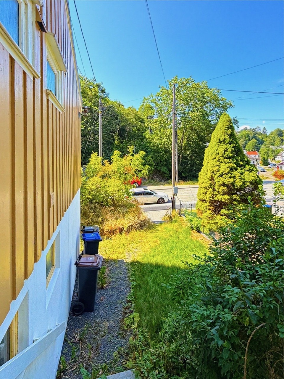 Grønt uteområde langs boligen. Galleribilde
