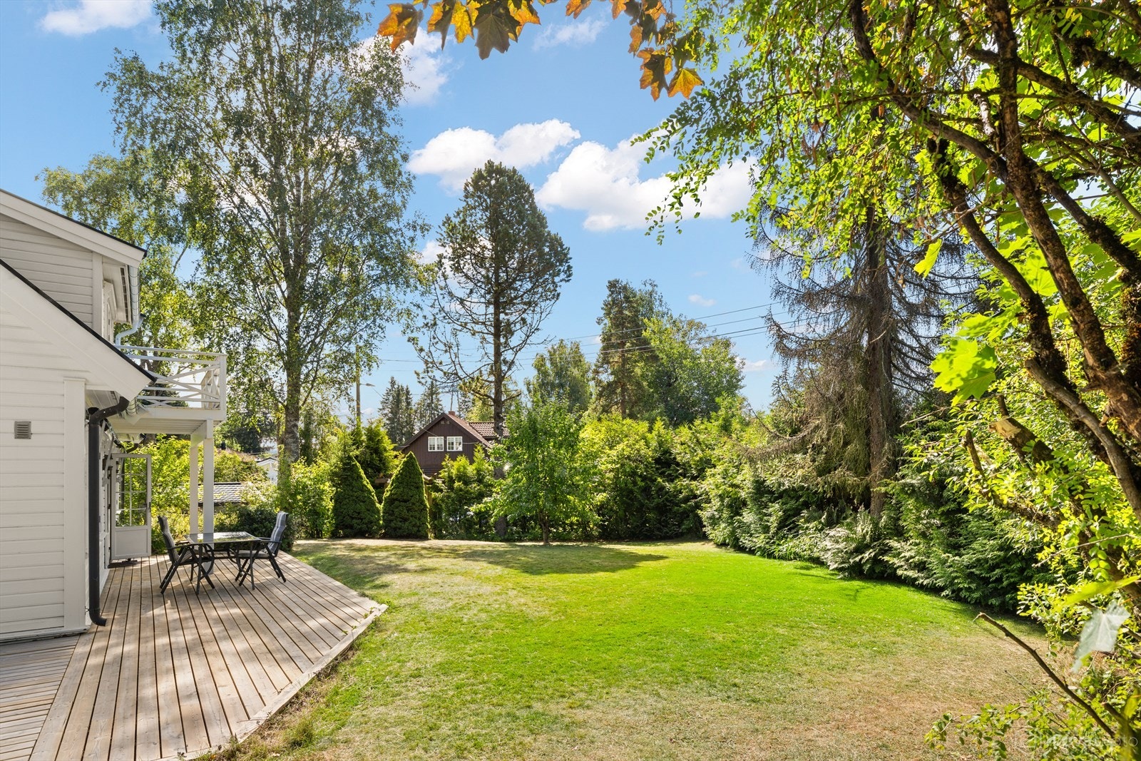 Et lyst og innbydende uteområde med frodig grøntområder. Galleribilde