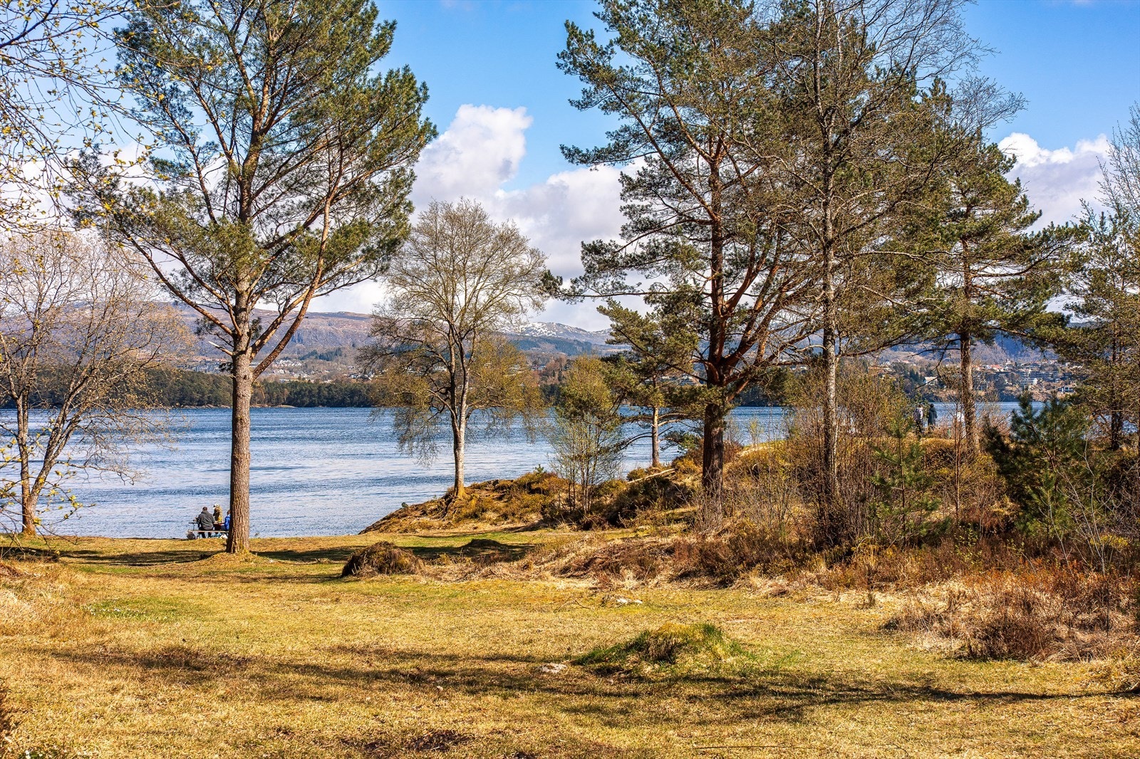Nærområde Galleribilde