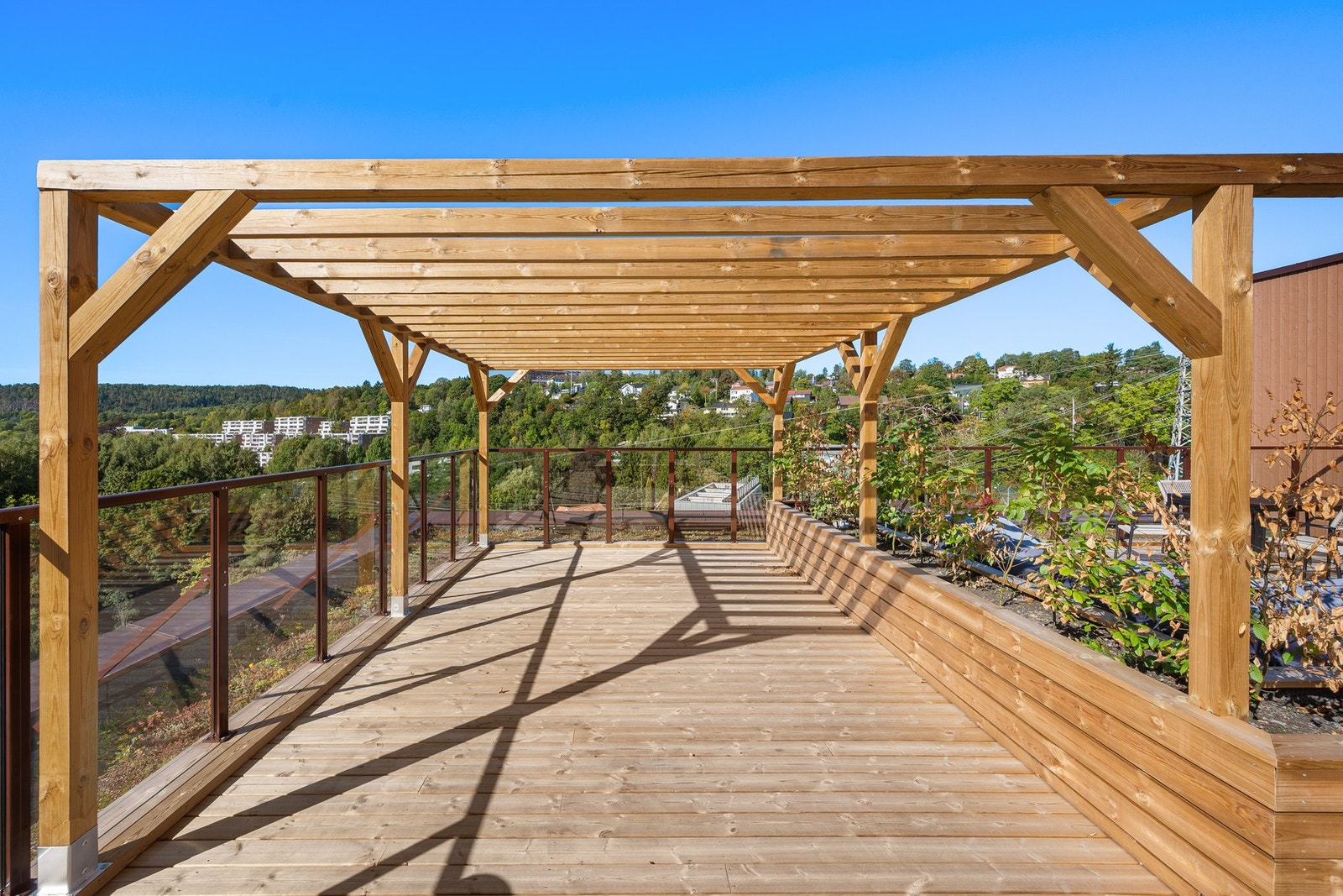 Flott felles takterrasse med pergola, beplantning og sol fra dag til kveld Galleribilde