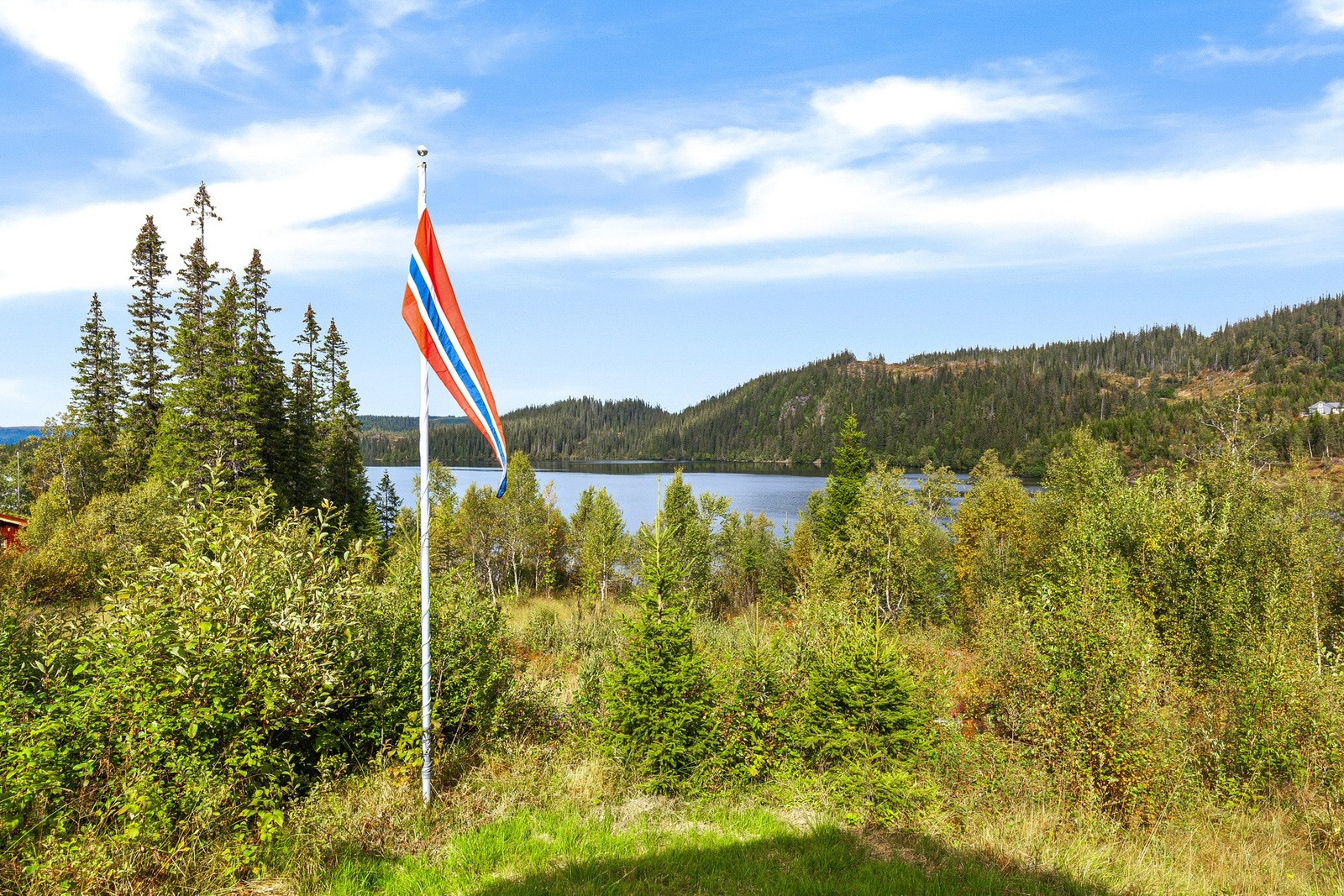 Nyt utsikten over vannet og de omkringliggende naturområdene. Galleribilde