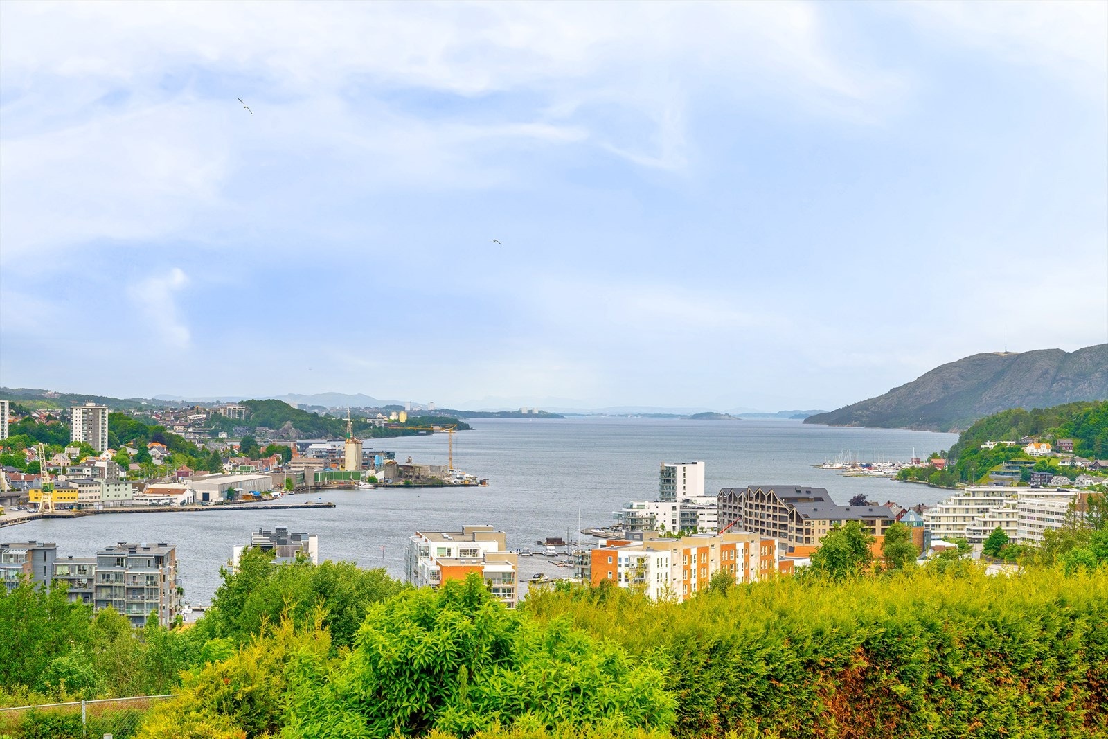Nyt utsikten helt til Stavanger. Dalsnuten og fjellene langs fjorden. Frodige farger og kupert terreng. Galleribilde