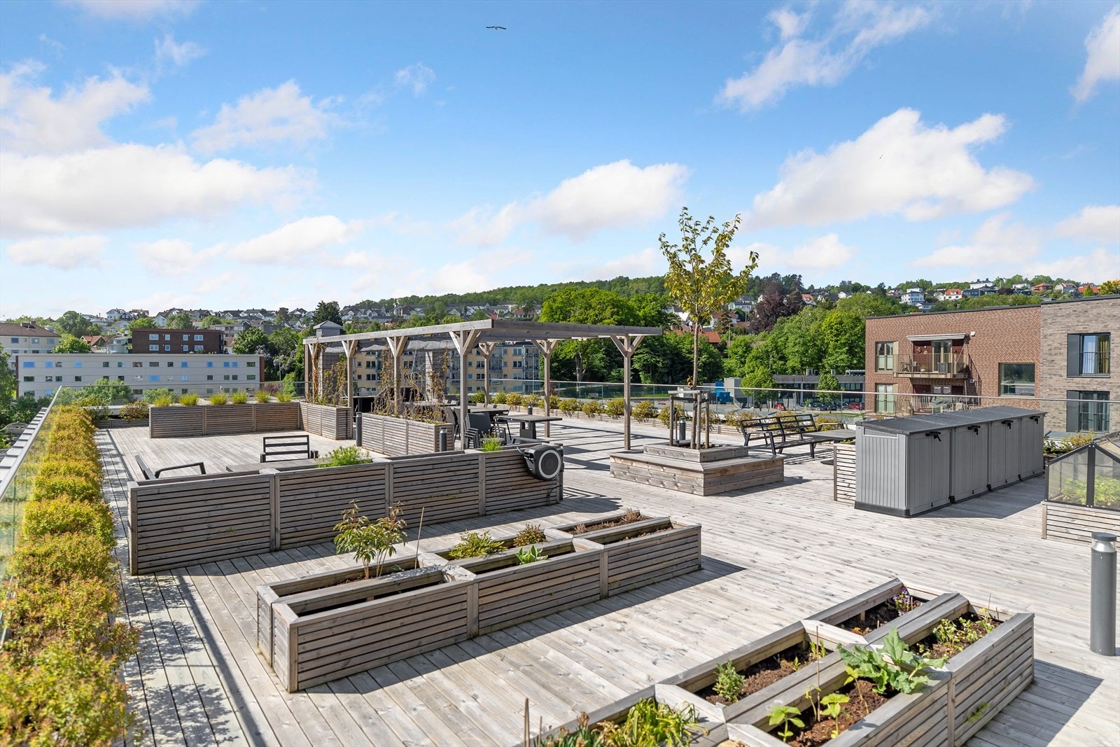 Flott takterrasse som er felles for borettslaget. Galleribilde