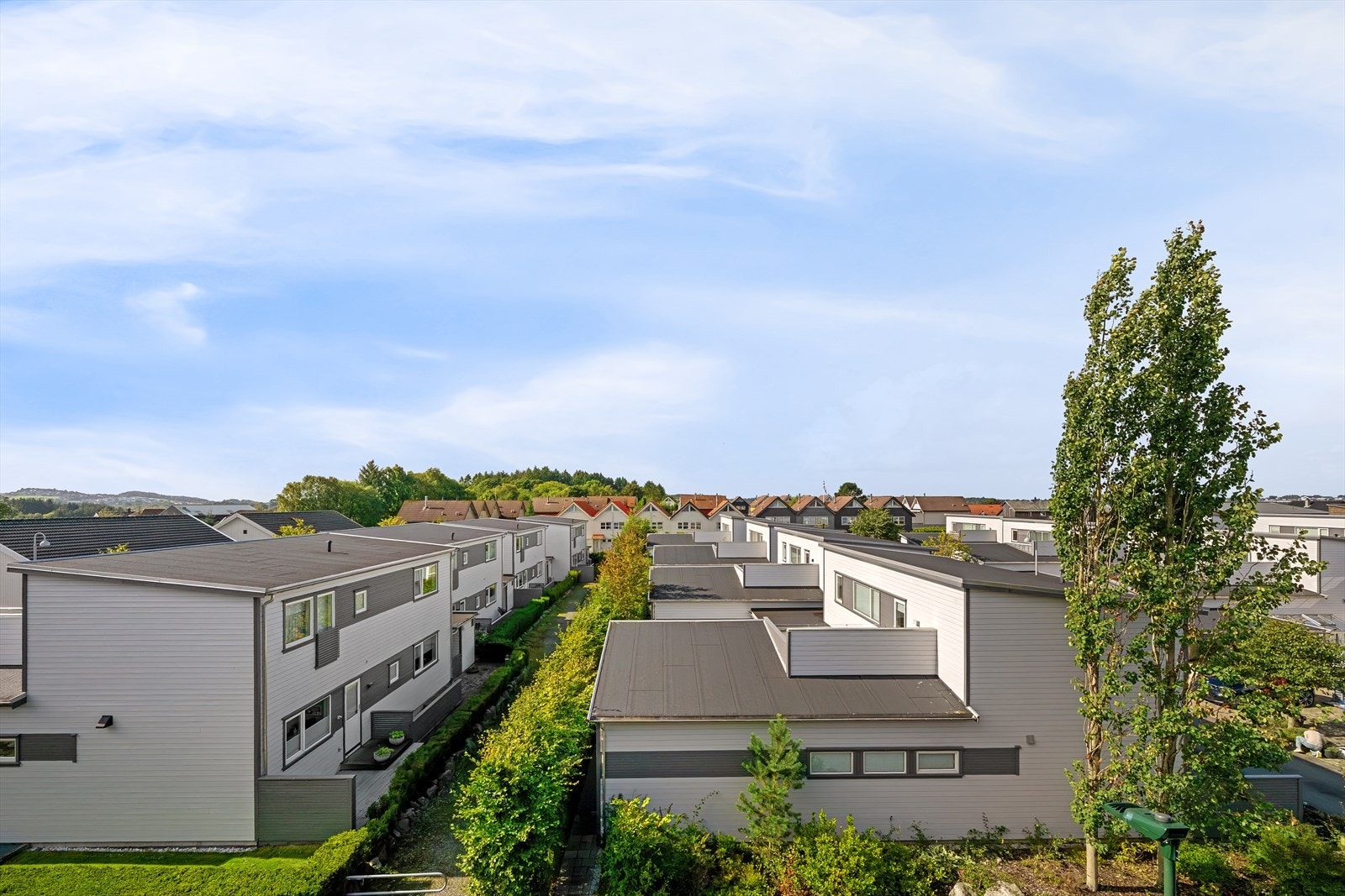 Grønne lunger og åpen himmel. Her kan du koble ut fra hverdagen og slappe av. Solrikt så lenge det er sol. Galleribilde