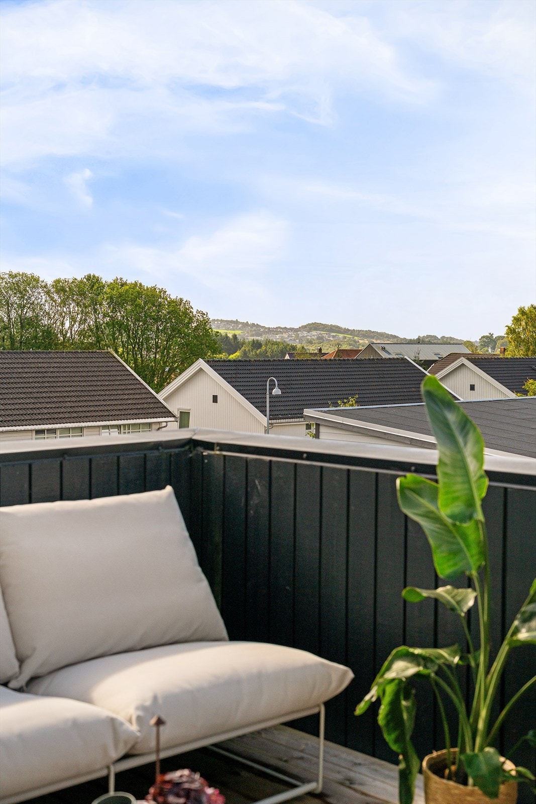 Luftig og åpen utsikt. Grønne lunger og åpen himmel. Galleribilde