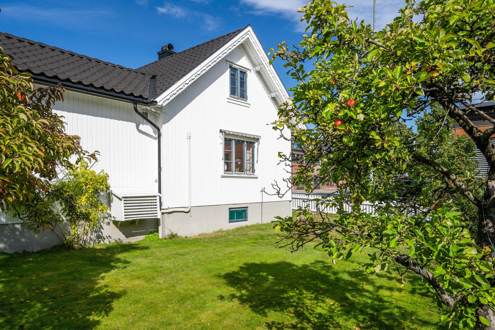 Både epler og pærer fra egen tomt Galleribilde