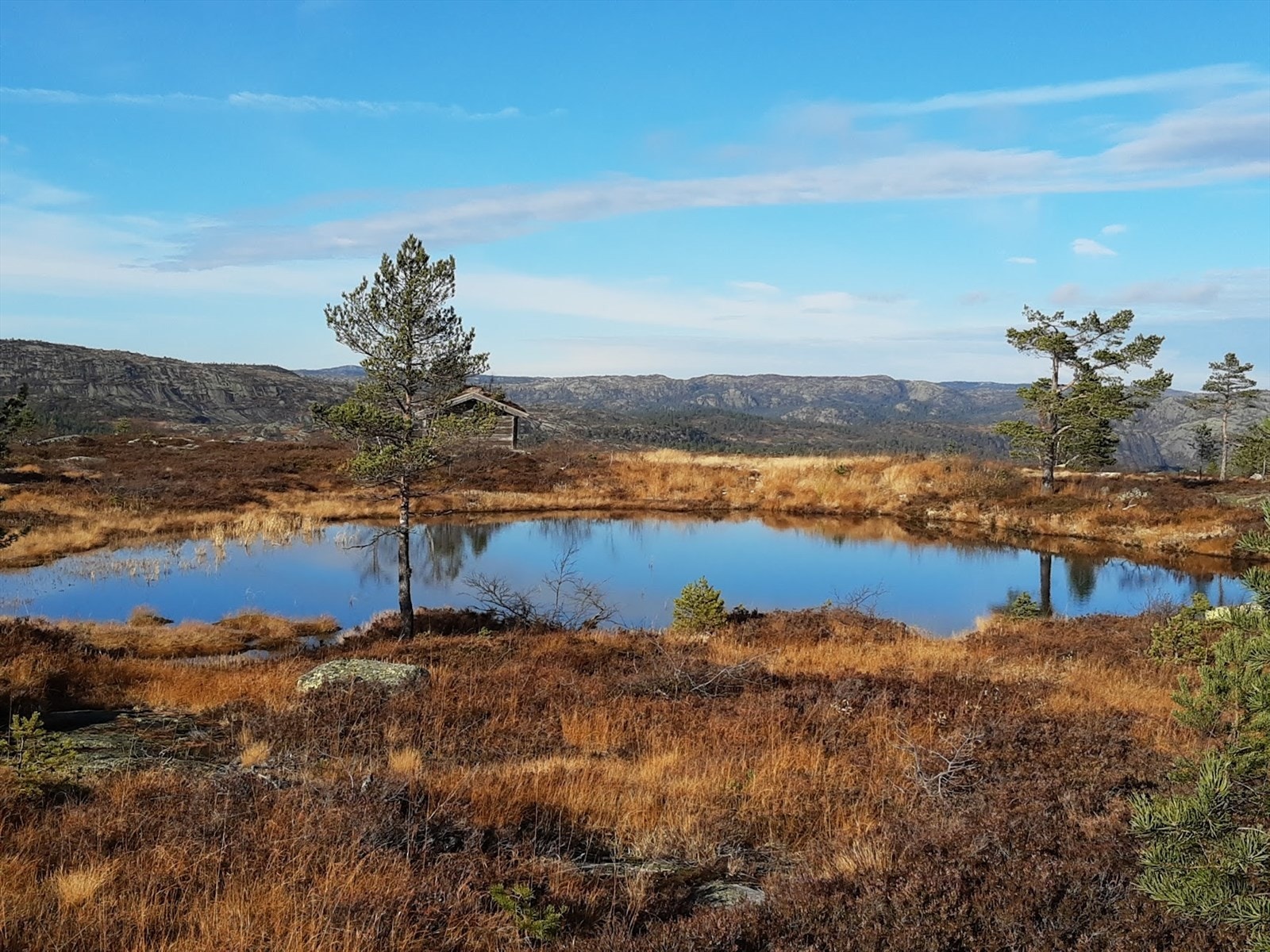 Tjernet på toppen av alpinbakken - med den gamle skibua! Galleribilde