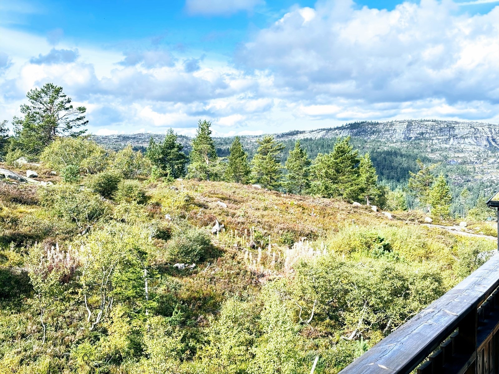 Selgers eget bilde - flott utsikt mot Jørundskarsnuten og Himmelrike! Galleribilde