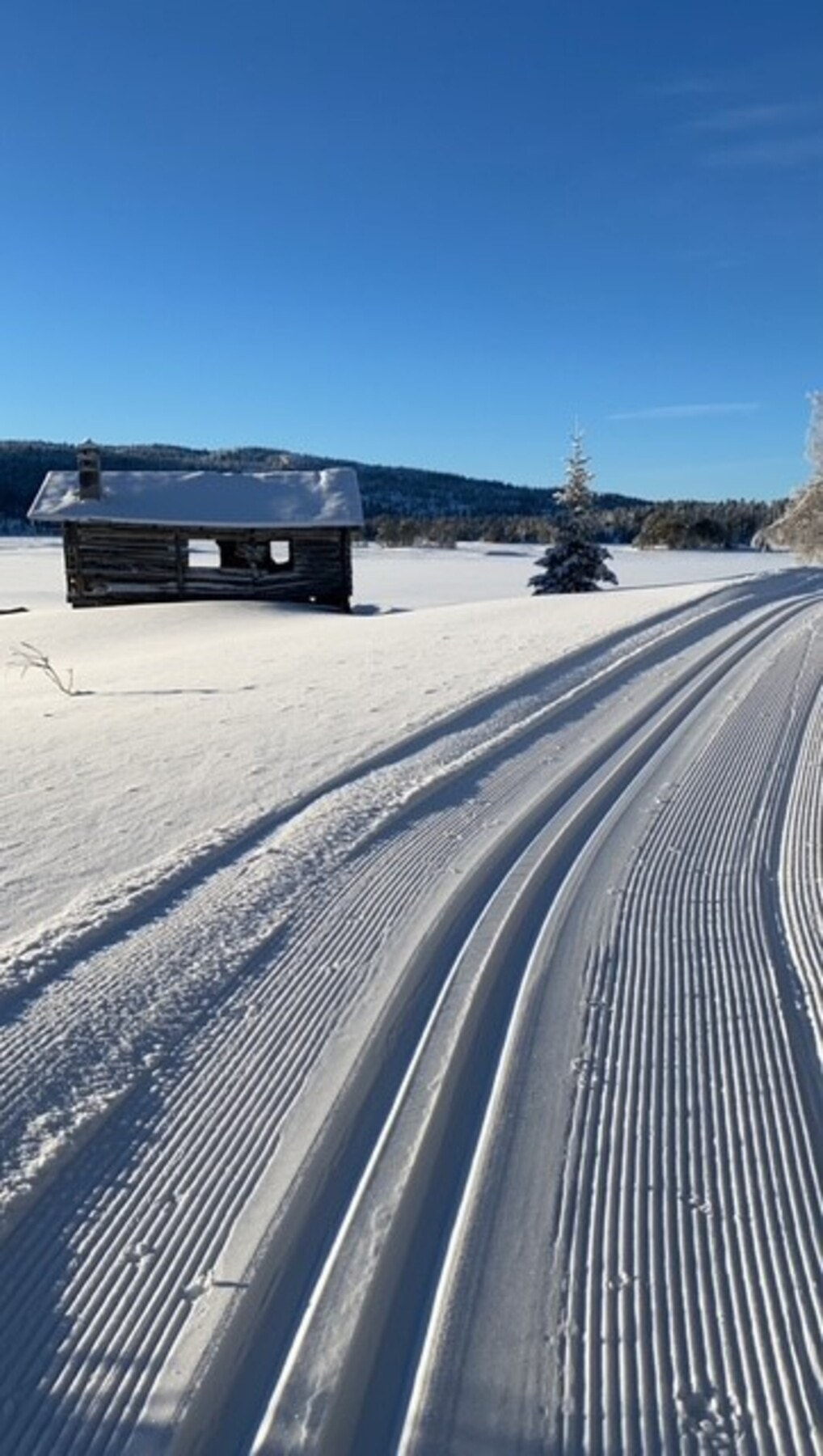 Preparerte skiløyper i naturskjønne omgivelser - fine forhold for langrenn. Galleribilde