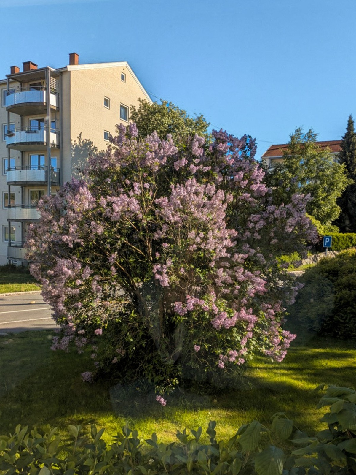 Store syriner og godt vedlikeholdte fellesarealer Galleribilde
