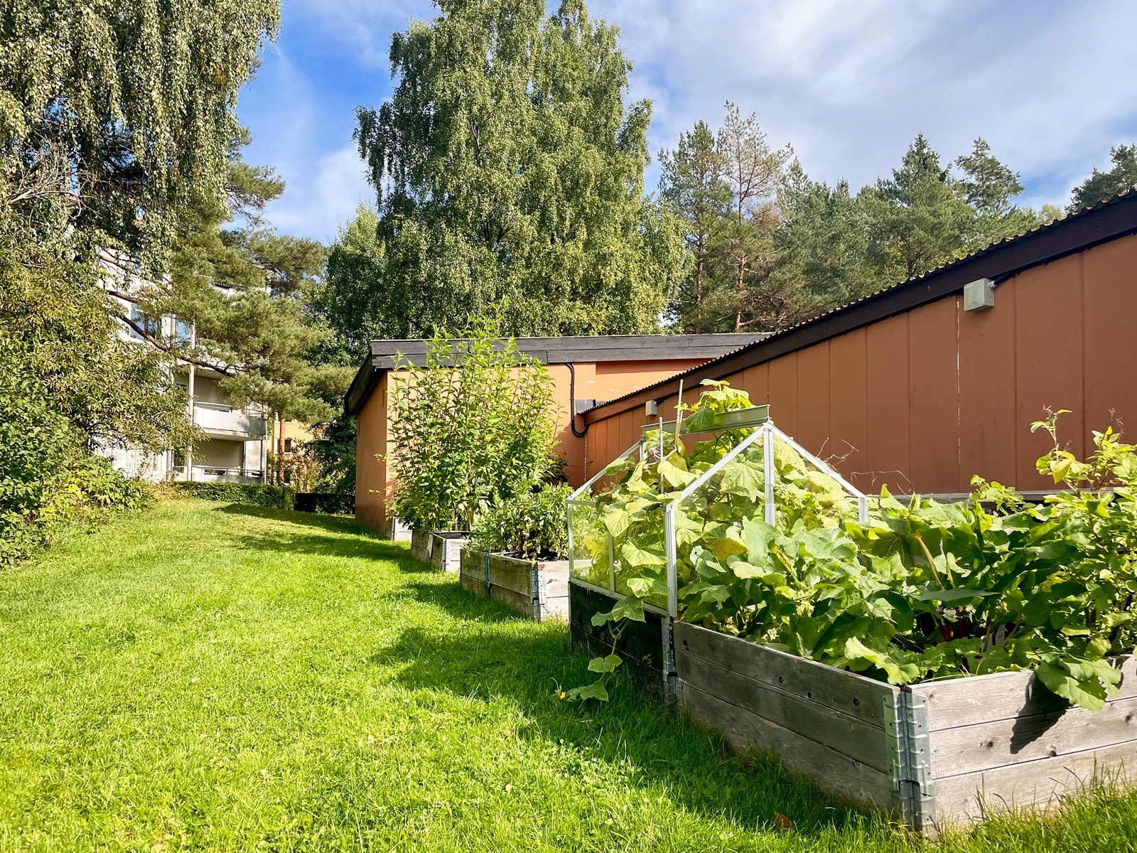 Plantekasser rett ved boligen etter liste Galleribilde