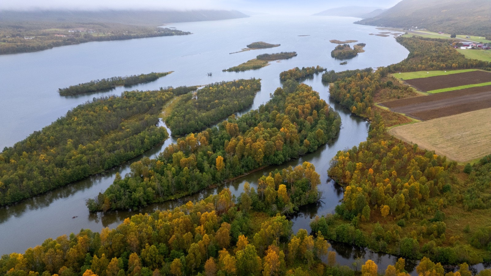 Bardufoss lufthavn og  Målselv Fjellandsby ligger innenfor en radius på ca. 40 minutters kjøring, mens nærmeste dagligvarebutikk ligger på Olsborg med en avstand på 25 minutter.