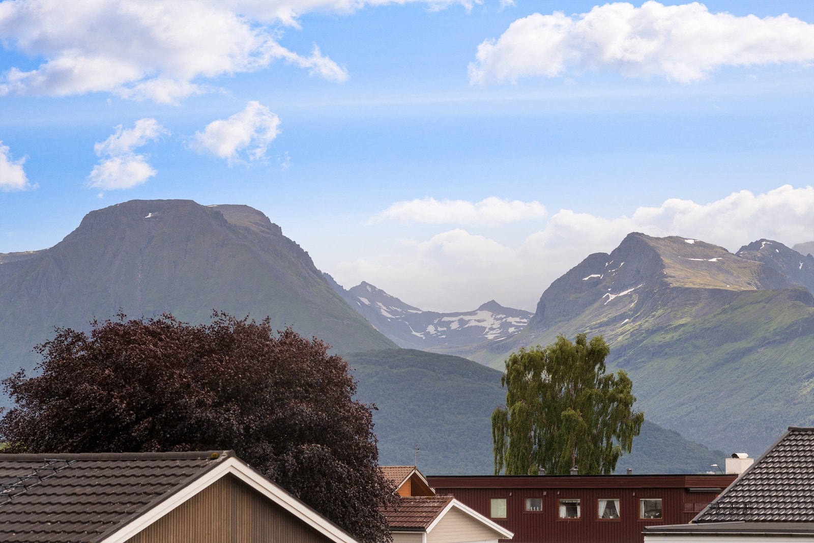 Utsikt mot de mektige Sunnmørsalpene. Galleribilde