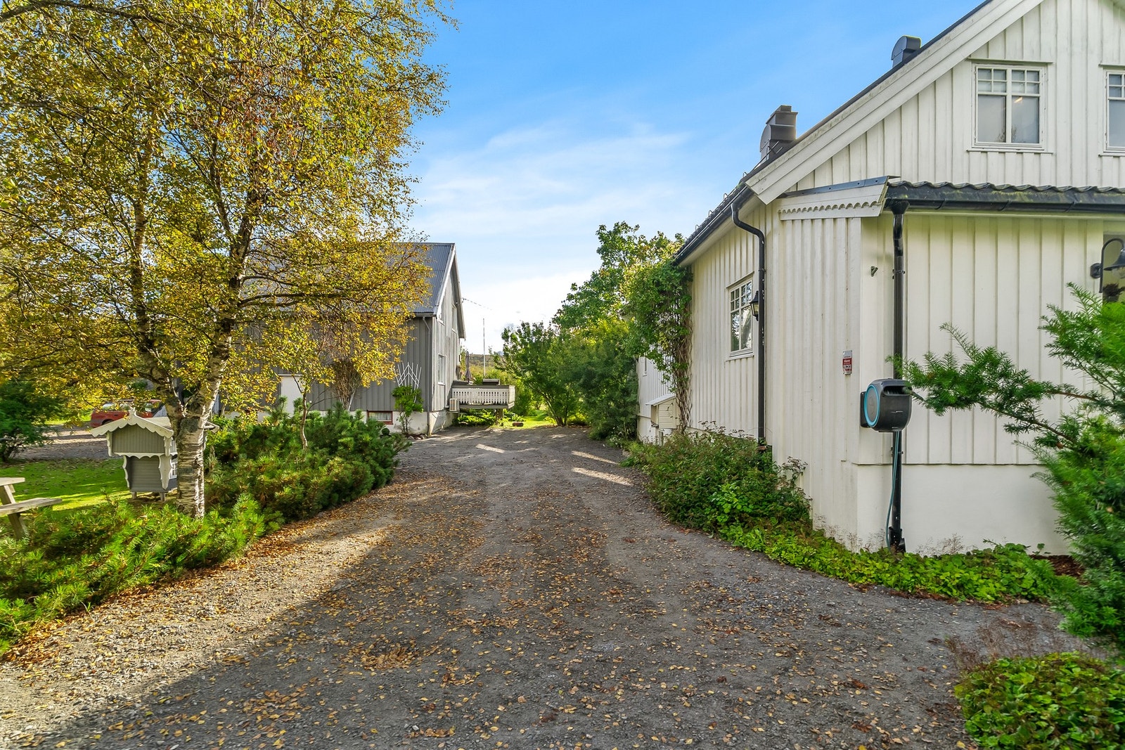 Gruset innkjørsel Galleribilde