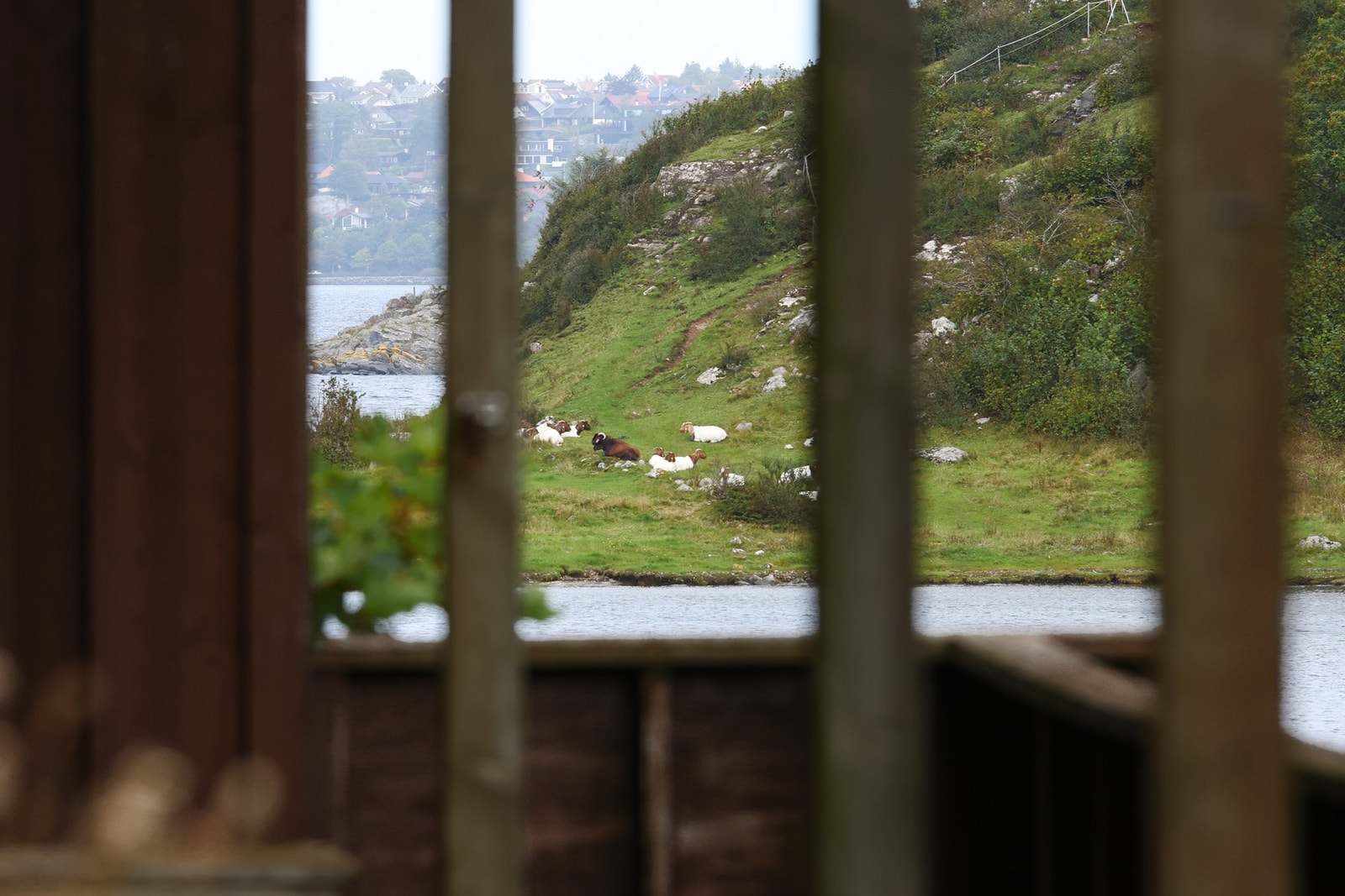 Boligen har flott utsikt over grønne omgivelser. Galleribilde