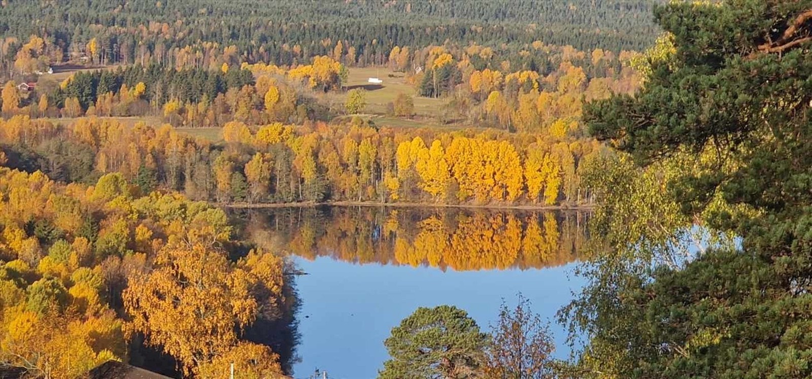 Stemningsbilde høst - selgers bilde Galleribilde