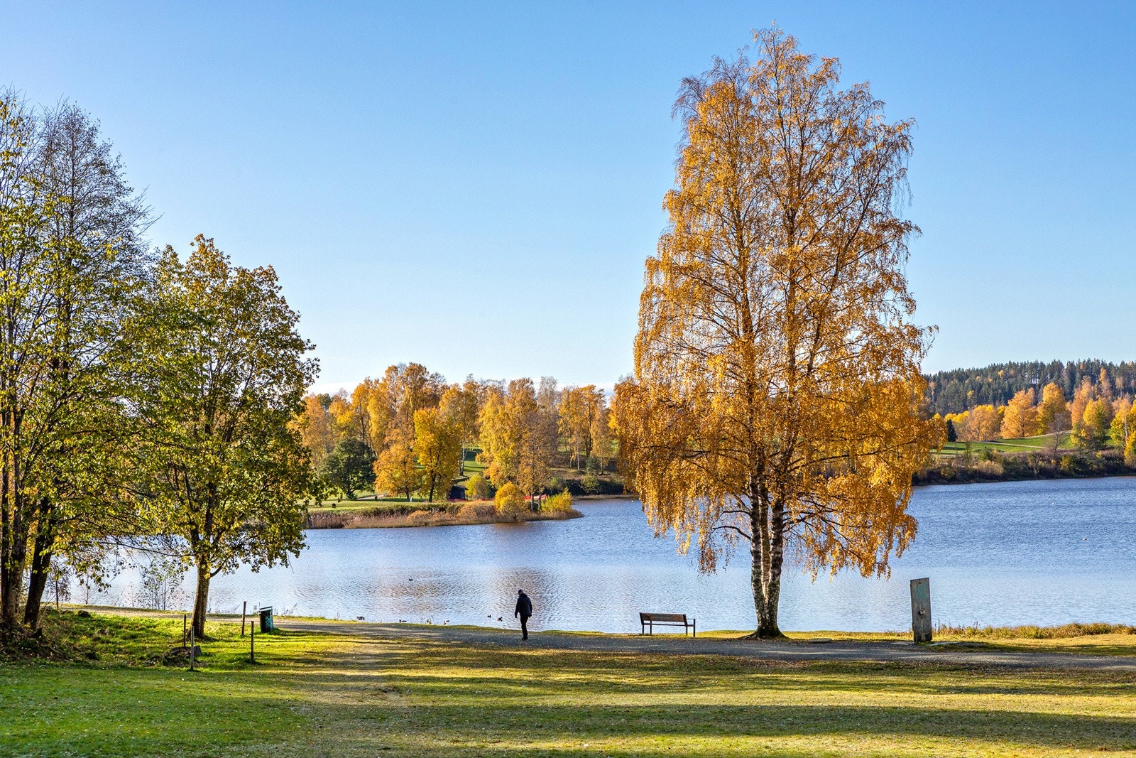Nydelig turterreng langs vannet Galleribilde