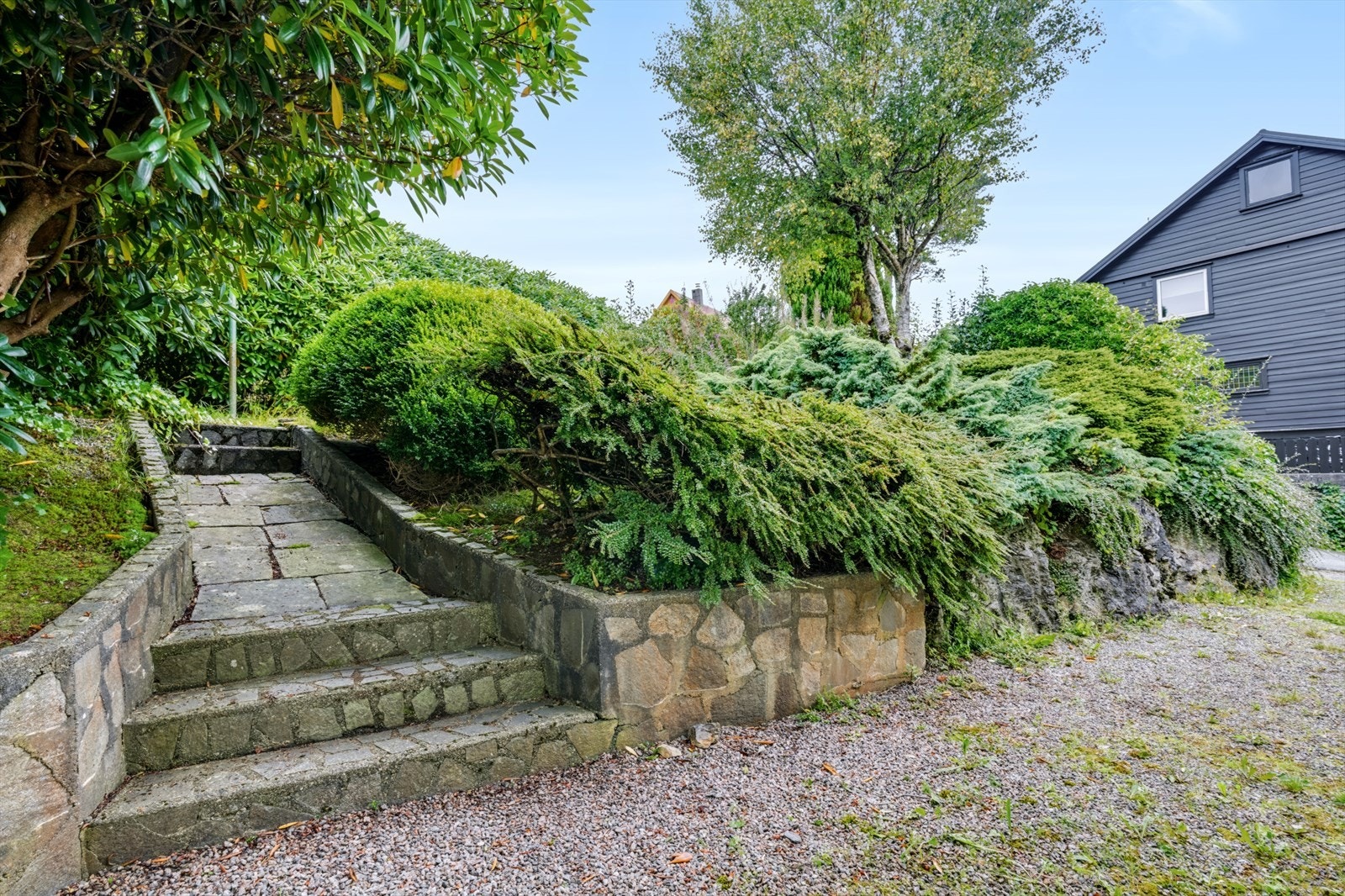 Murt steintrapp. Galleribilde
