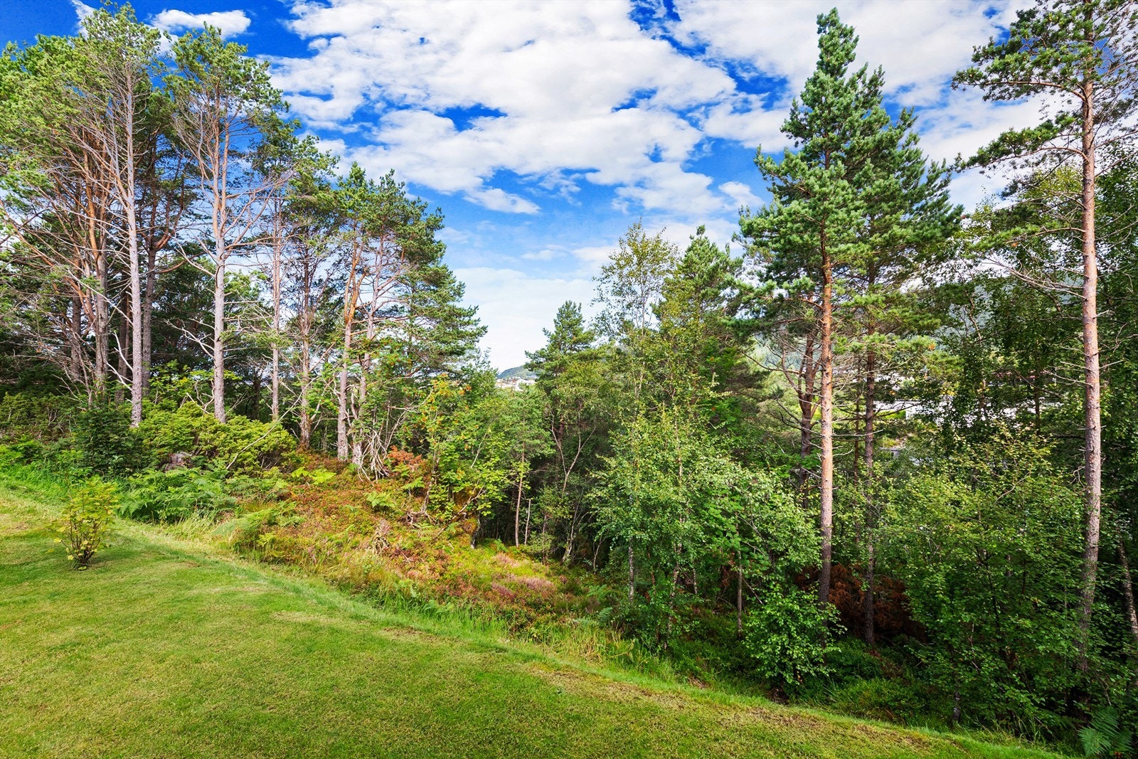 Eiendommen grenser mot et friområde, noe som gir en skjermet og privat følelse. Galleribilde